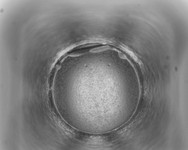 X0000086981264200704231810