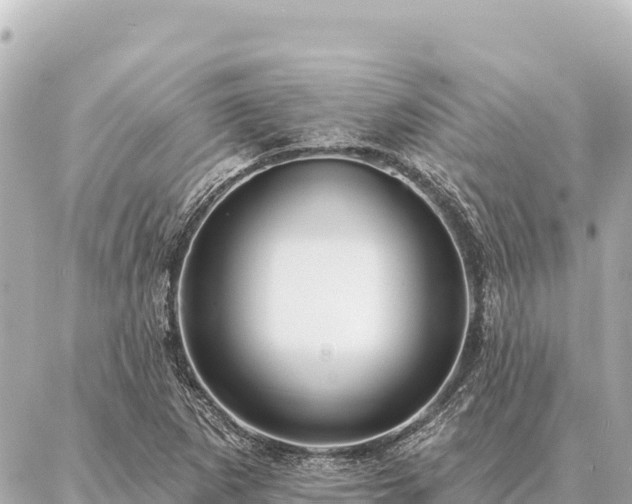 X0000086981265200704231810