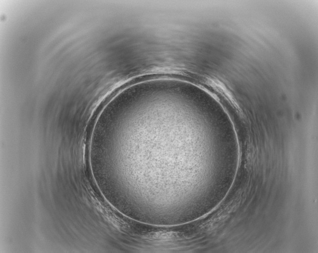 X0000086981268200704231810