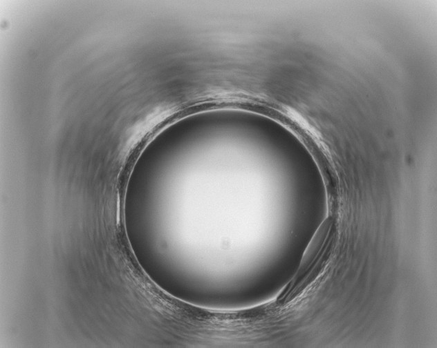 X0000086981269200704231810