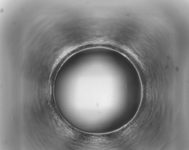 X0000086981270200704231810