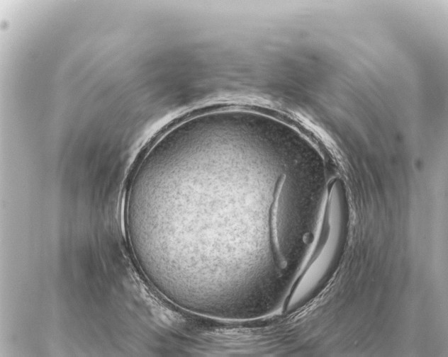 X0000086981272200704231810