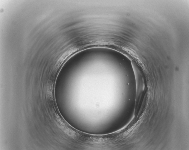 X0000086981273200704231810