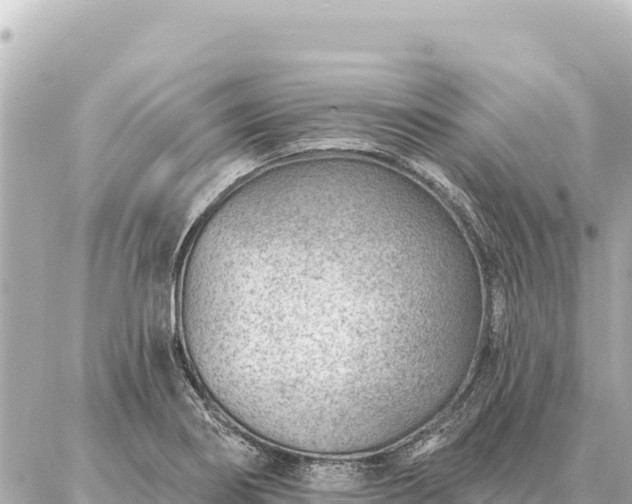 X0000086981274200704231810