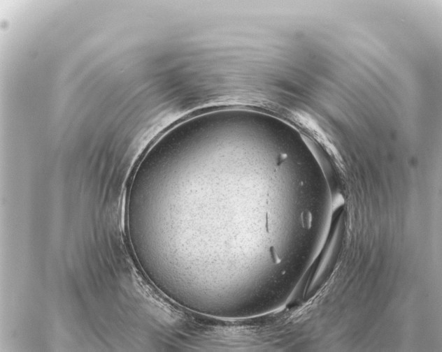 X0000086981276200704231810