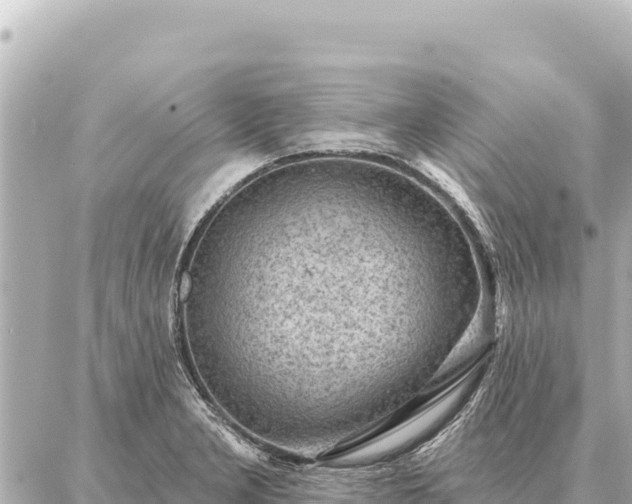 X0000086981277200704231810