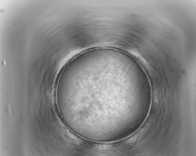 X0000086981278200704231810