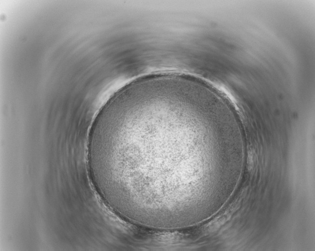 X0000086981279200704231810