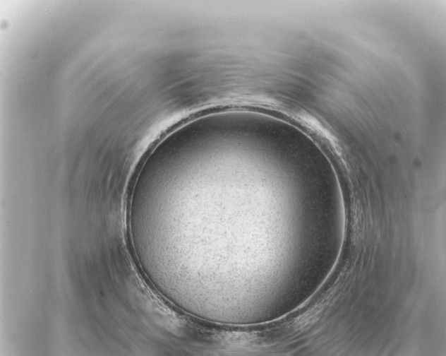 X0000086981280200704231810