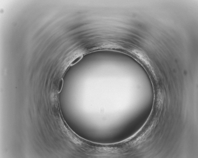 X0000086981281200704231810