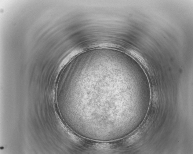 X0000086981282200704231810