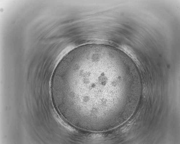 X0000086981283200704231810