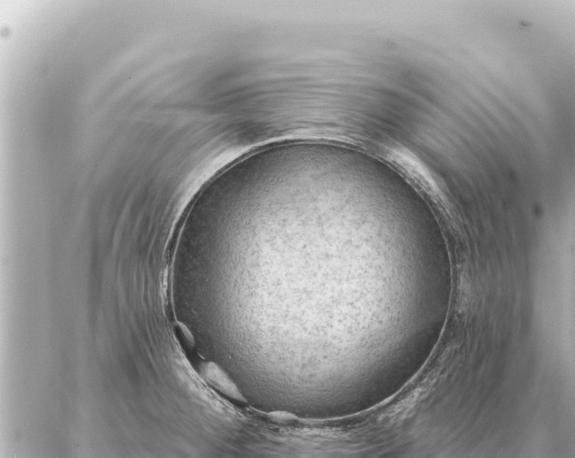 X0000086981284200704231810