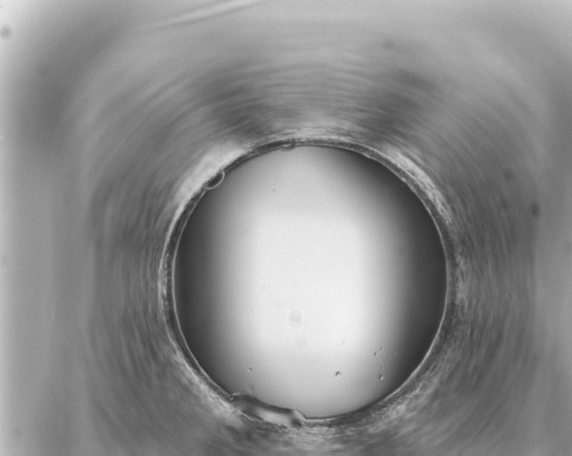 X0000086981285200704231810