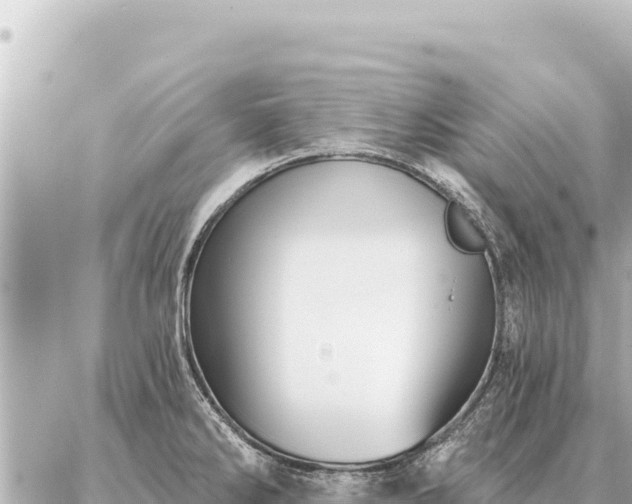 X0000086981286200704231810