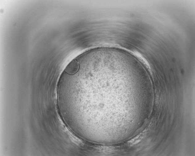 X0000086981287200704231810