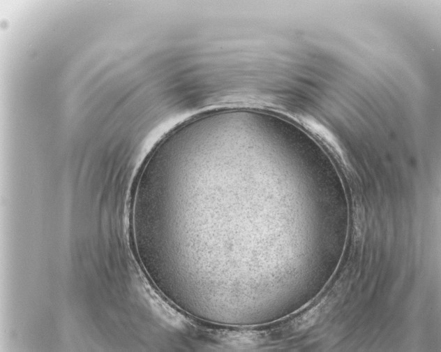 X0000086981288200704231810