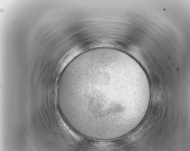 X0000086981290200704231810