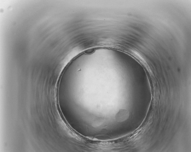 X0000086981291200704231810