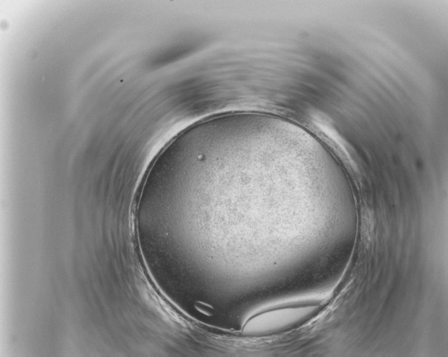 X0000086981292200704231810