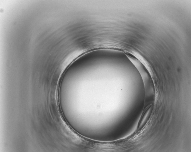 X0000086981293200704231810