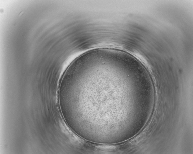 X0000086981296200704231810