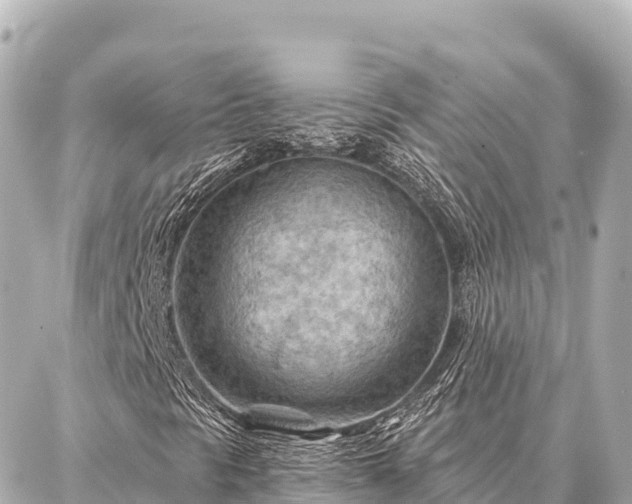 X0000086981297200704231809