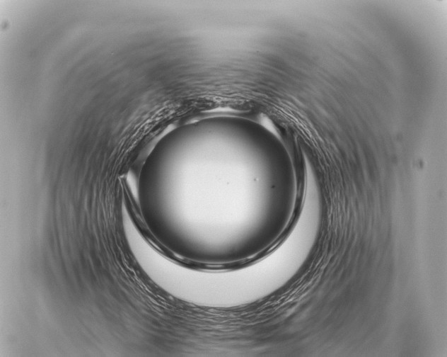 X0000086981298200704231809