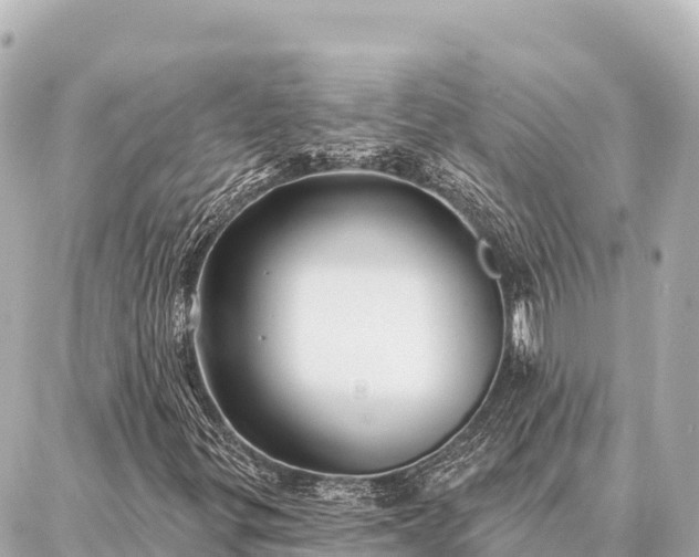 X0000086981299200704231809