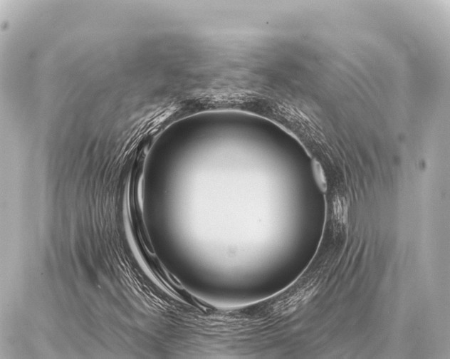 X0000086981300200704231809