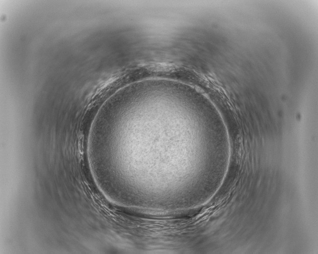 X0000086981301200704231809