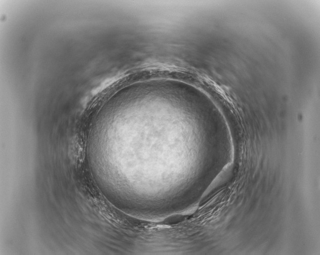 X0000086981303200704231809