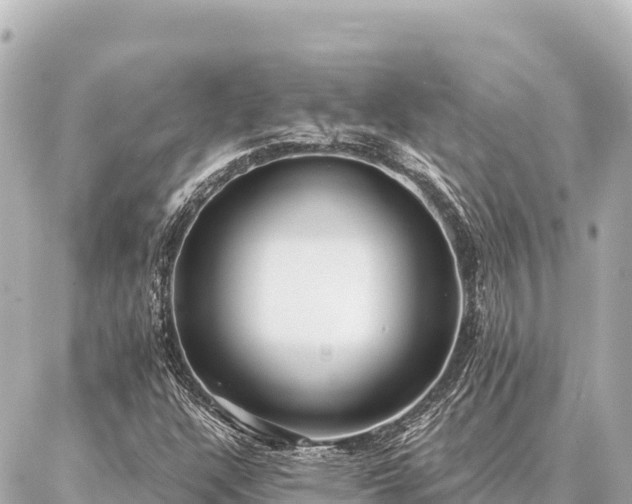 X0000086981304200704231809