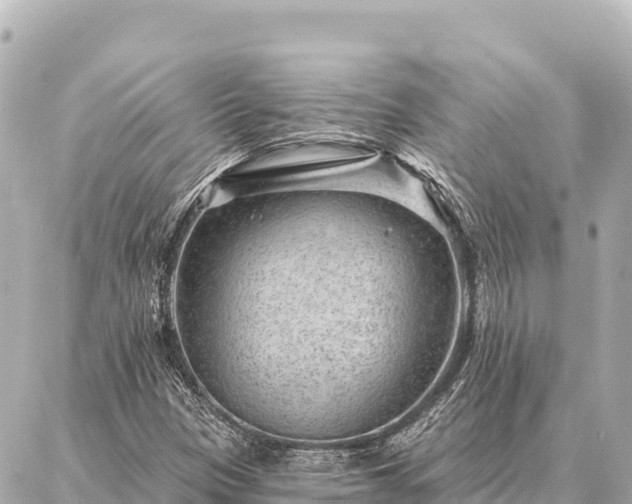 X0000086981305200704231809