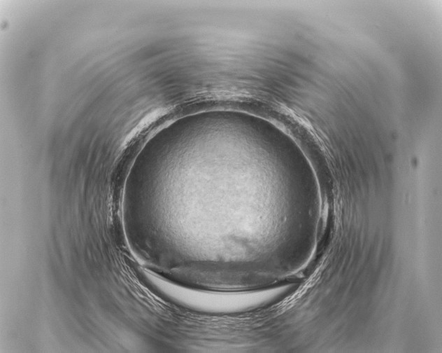 X0000086981306200704231809