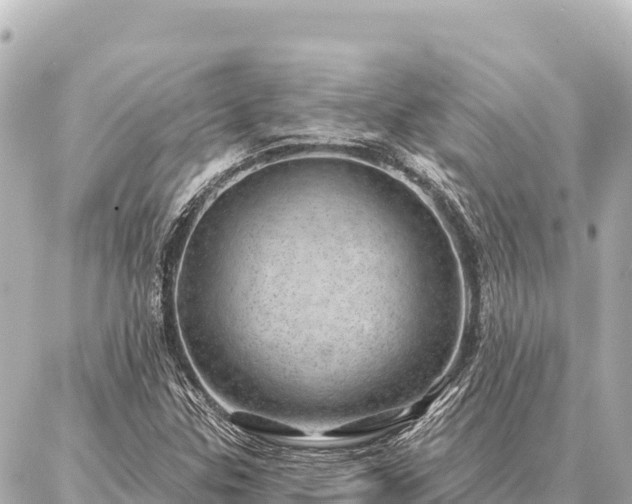 X0000086981307200704231809