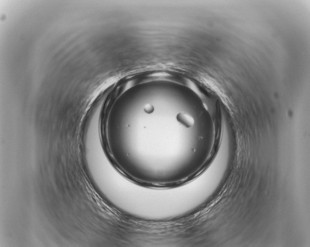 X0000086981308200704231809