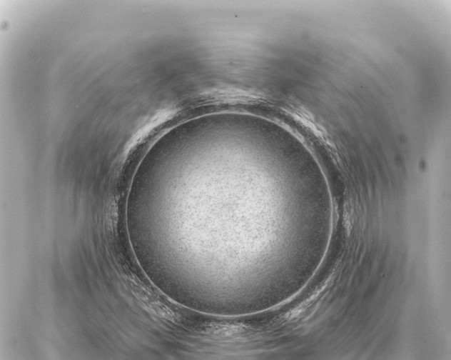 X0000086981309200704231809