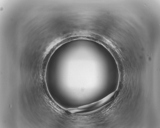 X0000086981312200704231809