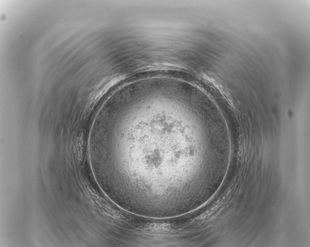 X0000086981313200704231809