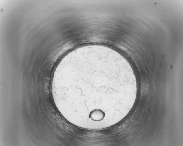 X0000086981314200704231809