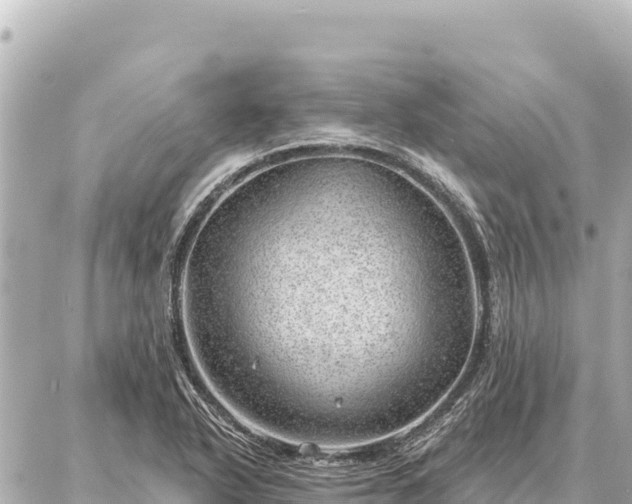 X0000086981318200704231809