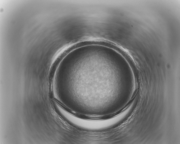 X0000086981319200704231809