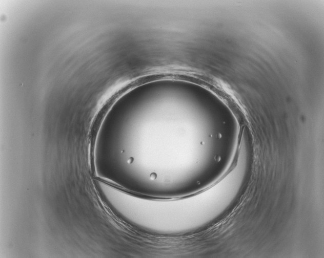 X0000086981320200704231809