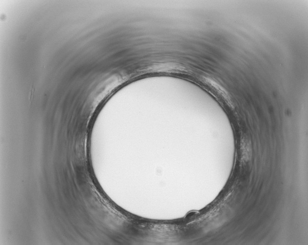 X0000086981322200704231809