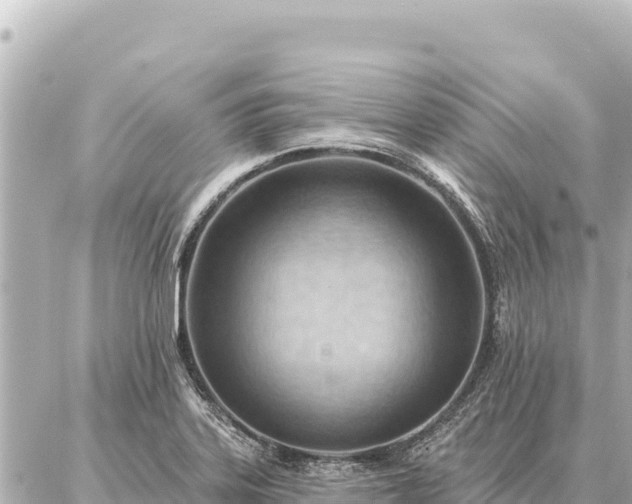 X0000086981323200704231809