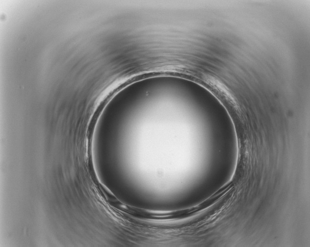 X0000086981324200704231809