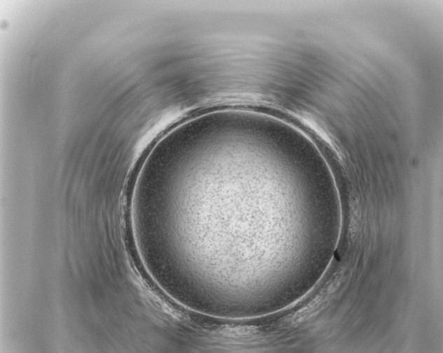 X0000086981325200704231810