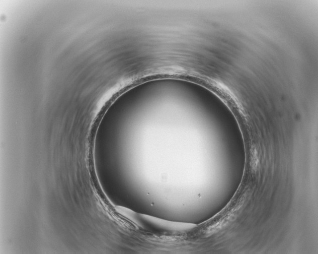 X0000086981326200704231810