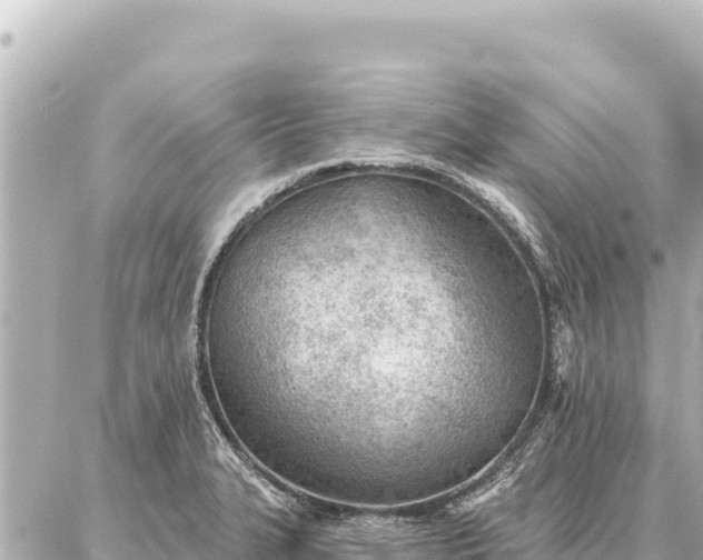 X0000086981327200704231810